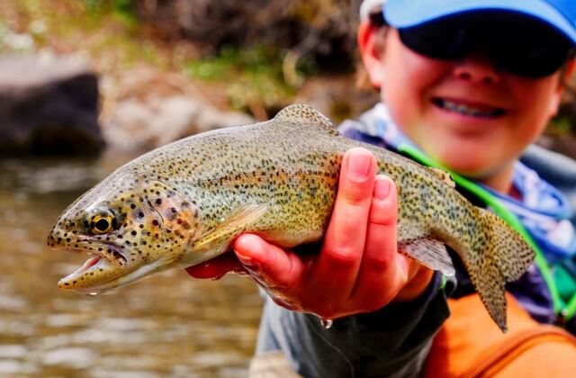 Beyond Salmon: Discover the Thriving Trout Fisheries of Washington