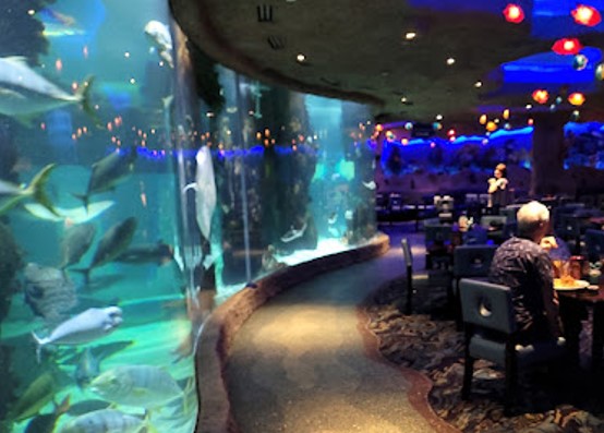 What is The Aquarium Restaurant in Nashville?